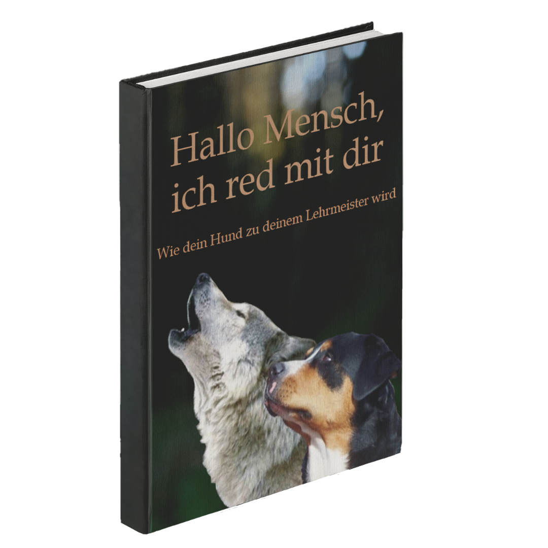 Buch Cover Jens Anders