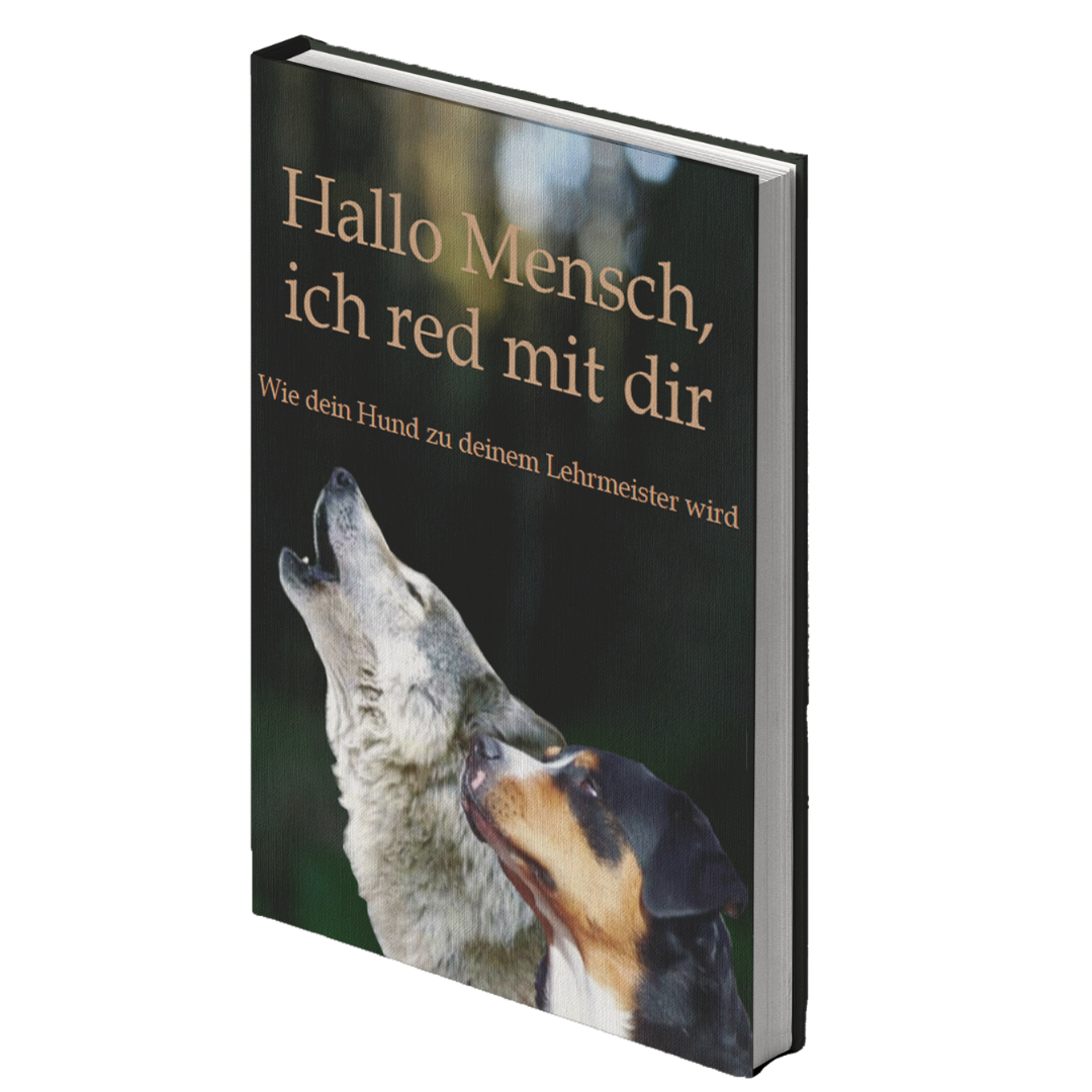 Buch Cover Jens Anders 1