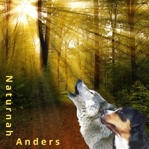 Jens Anders Podcast Nähe und Distanz Naturnah Anders. Naturnah Anders - Jens Anders, Hundetraining, Hundetrainingszentrum, naturnah anders