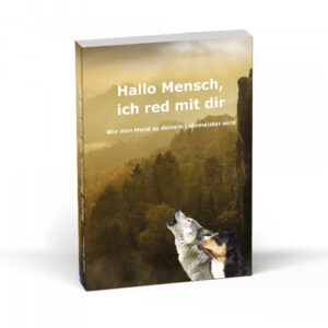 Buch mockup 1