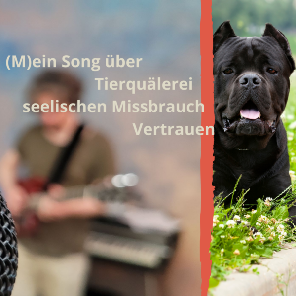 Video - Ich würd dir wieder vertraun
