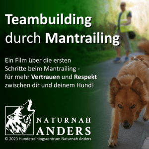 Mantrailing