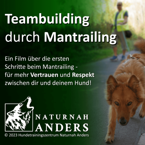 Video - Teambuilding durch Mantrailing